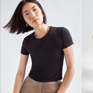 Babaton “Everyday T-Shirt” (Aritzia)